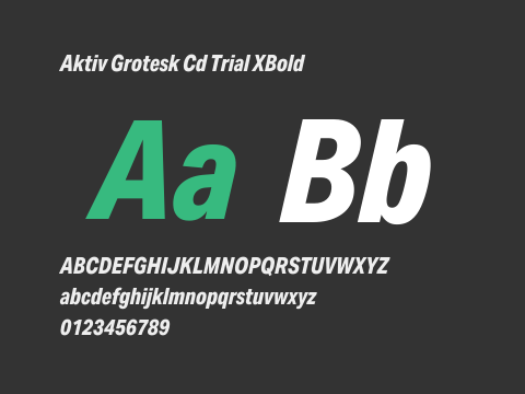 Aktiv Grotesk Cd Trial XBold