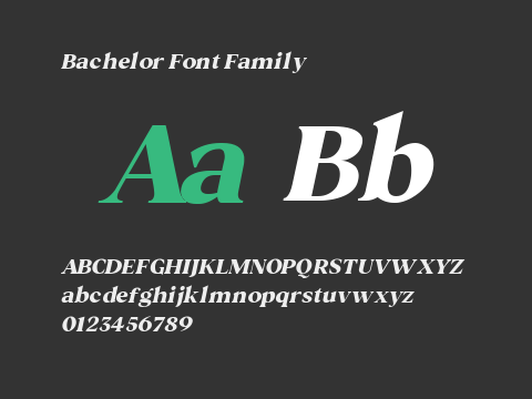 Bachelor Font Family