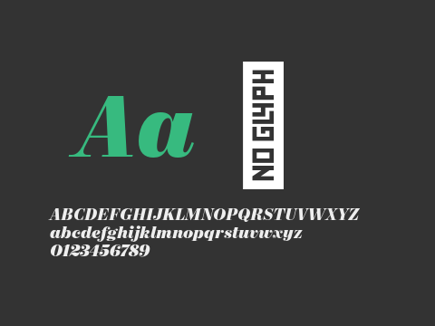 Mort Modern 12 Black Italic