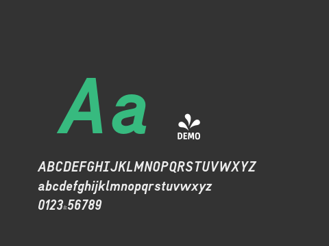 FSP DEMO - A Bold Italic