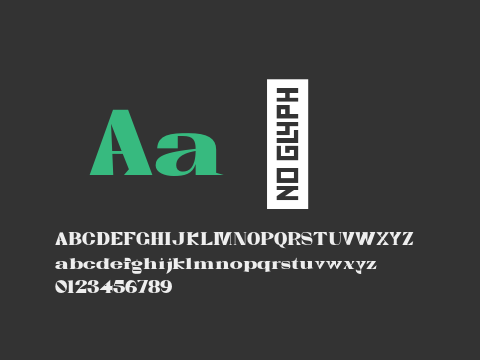 Zvin Serif Black