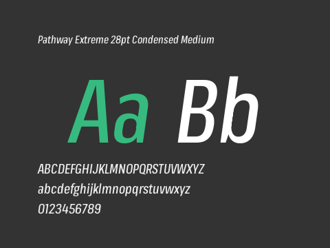 Pathway Extreme 28pt Condensed Medium