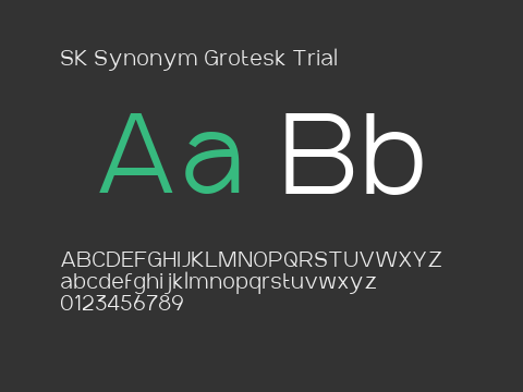 SK Synonym Grotesk Trial