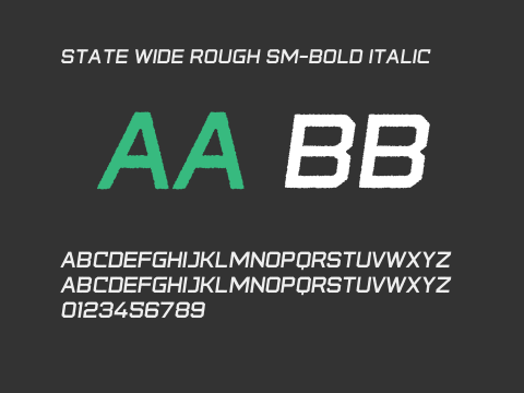 State Wide Rough Sm-Bold Italic