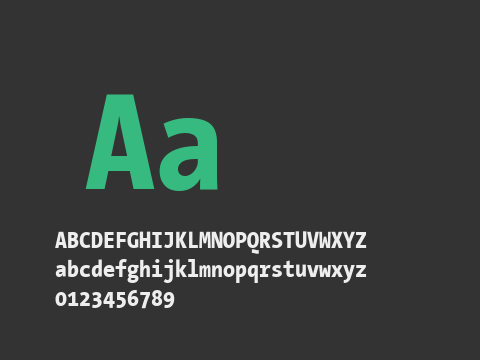 The Sans Mono Condensed-