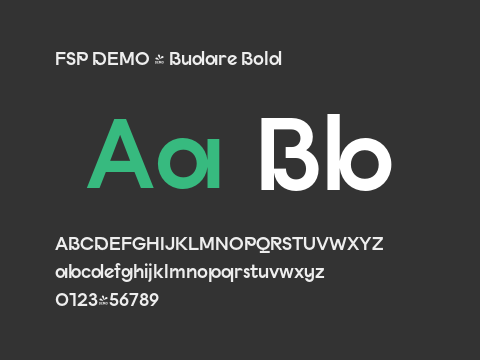 FSP DEMO - Budare Bold