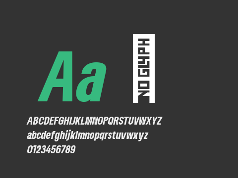 Lama Sans Black Cond Italic