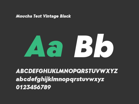 Moucha Test Vintage Black