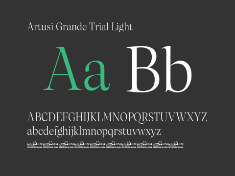 Artusi Grande Trial Light