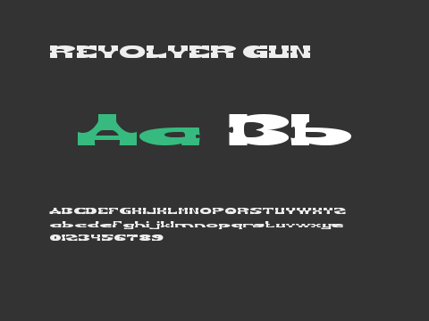 REVOLVER GUN