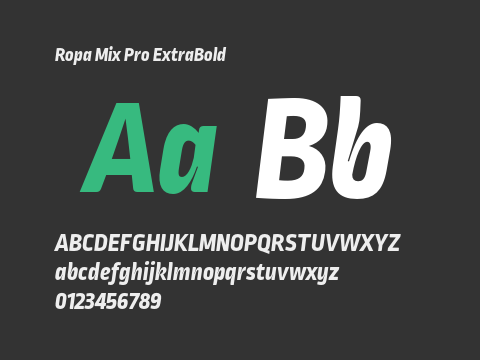 Ropa Mix Pro ExtraBold