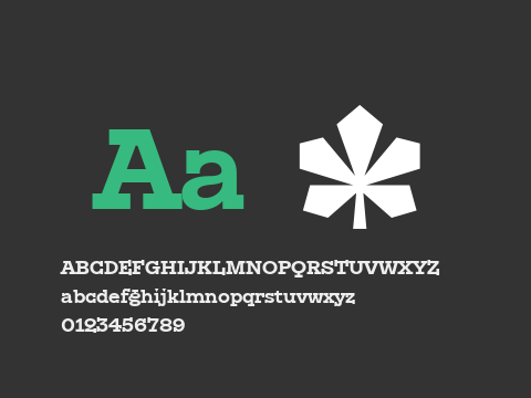 KyivType Serif Bold