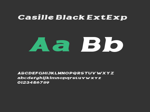 Casille Black ExtExp