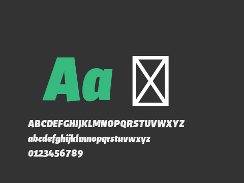 Sarre Testversion Black Italic