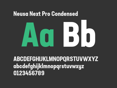 Neusa Next Pro Condensed