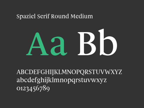 Spaziel Serif Round Medium