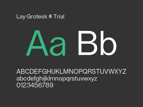 Lay Grotesk - Trial