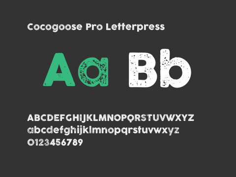 Cocogoose Pro Letterpress