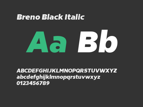 Breno Black Italic