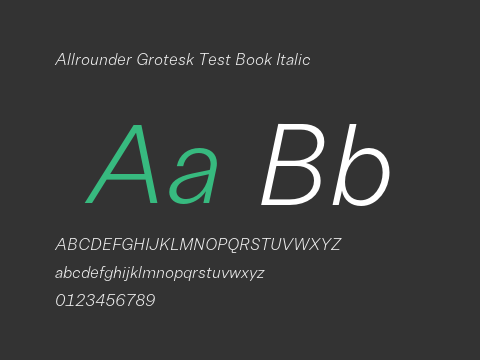 Allrounder Grotesk Test Book Italic