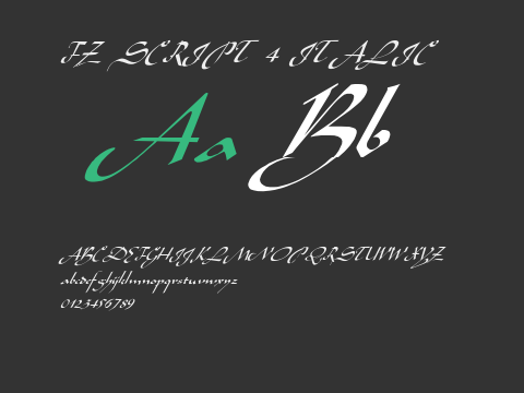 FZ SCRIPT 4 ITALIC