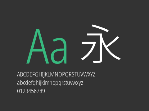 有爱锐方 CN Condensed Light