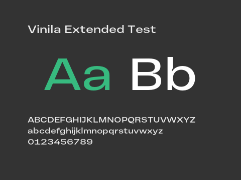 Vinila Extended Test