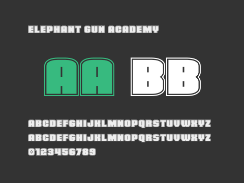 Elephant Gun Academy