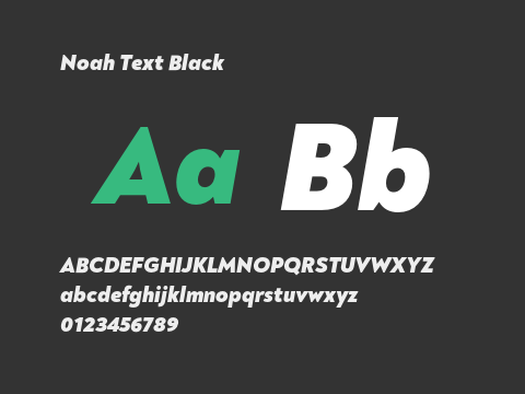 Noah Text Black