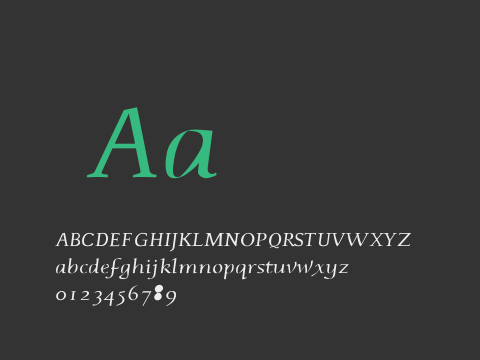 Plunkette Italic Hvy