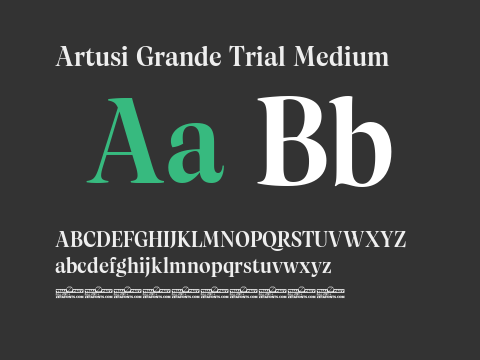 Artusi Grande Trial Medium