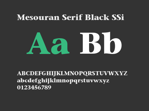 Mesouran Serif Black SSi