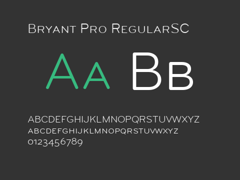 Bryant Pro RegularSC