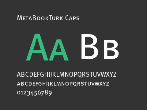 MetaBookTurk Caps