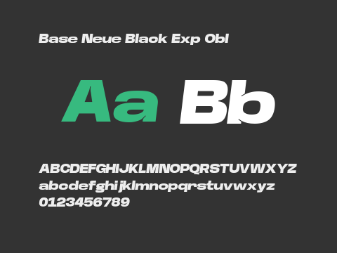 Base Neue Black Exp Obl