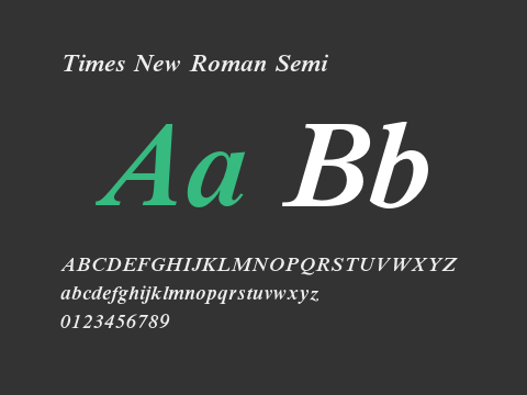 Times New Roman Semi