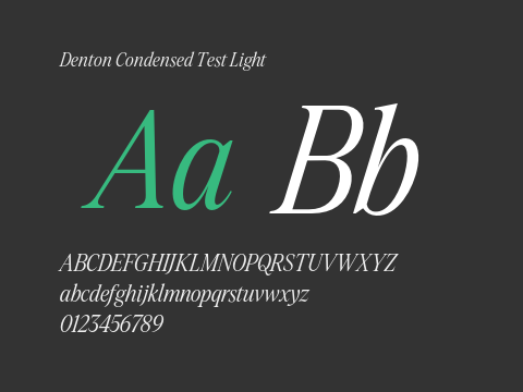 Denton Condensed Test Light