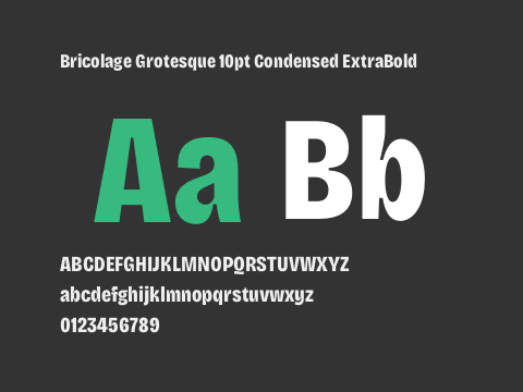 Bricolage Grotesque 10pt Condensed ExtraBold