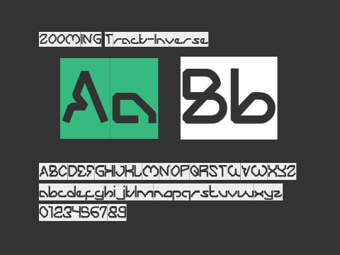 ZOOMING Track-Inverse