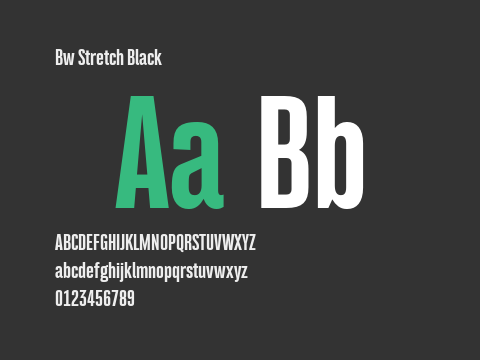 Bw Stretch Black