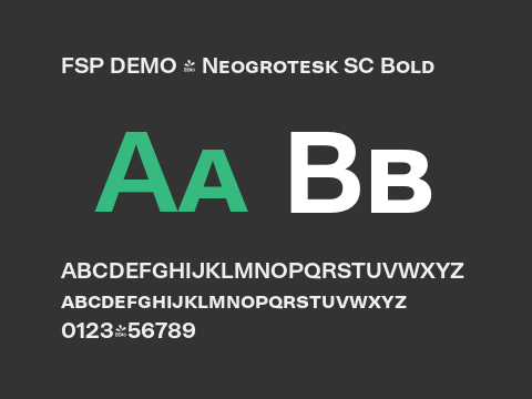 FSP DEMO - Neogrotesk SC Bold