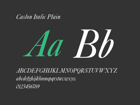 Caslon Italic Plain