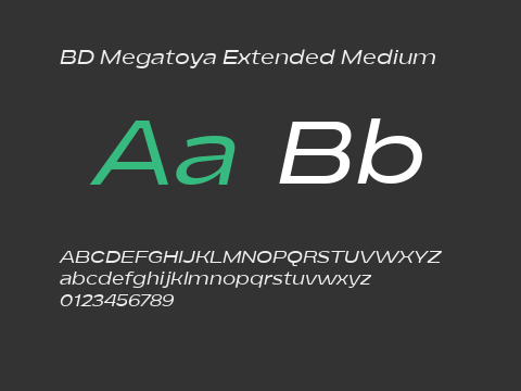 BD Megatoya Extended Medium