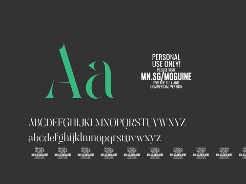 Moguine Serif PERSONAL USE