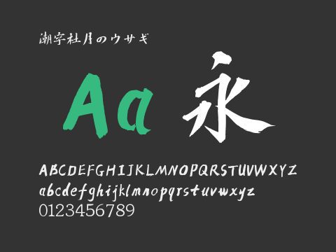 潮字社月のウサギ