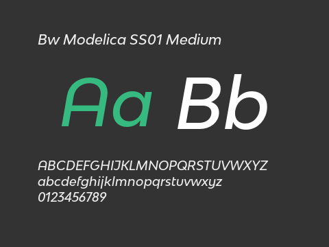 Bw Modelica SS01 Medium