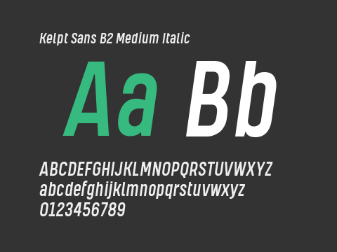 Kelpt Sans B2 Medium Italic