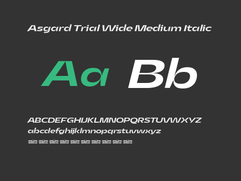 Asgard Trial Wide Medium Italic