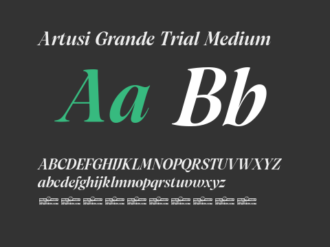 Artusi Grande Trial Medium