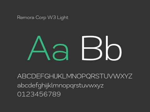 Remora Corp W3 Light